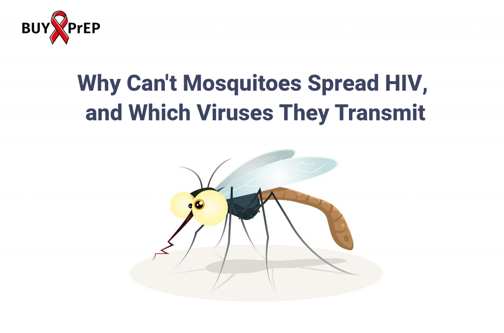 Why Can't Mosquitoes Spread HIV, and Which Viruses They Transmit Buy PrEP